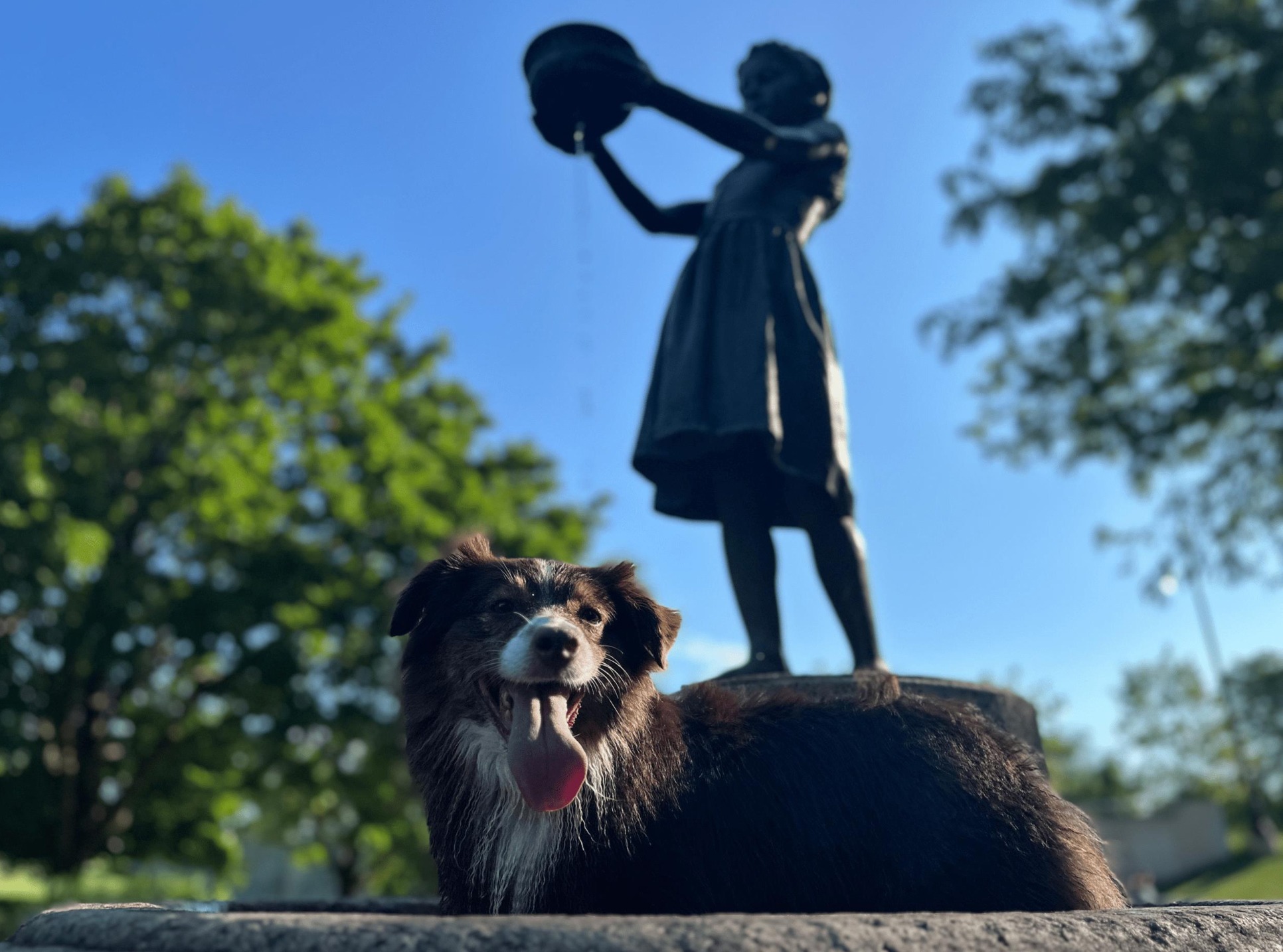 Dog sitting in front of a statue with blue sky and greenery